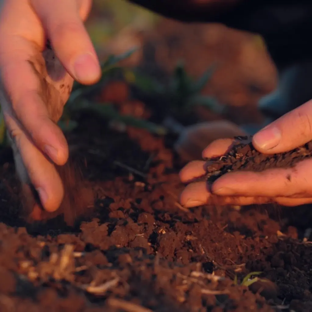 Improve the electrical conductivity of soil